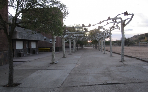 Antiguos alumnos del colegio Corazón de María de Zamora